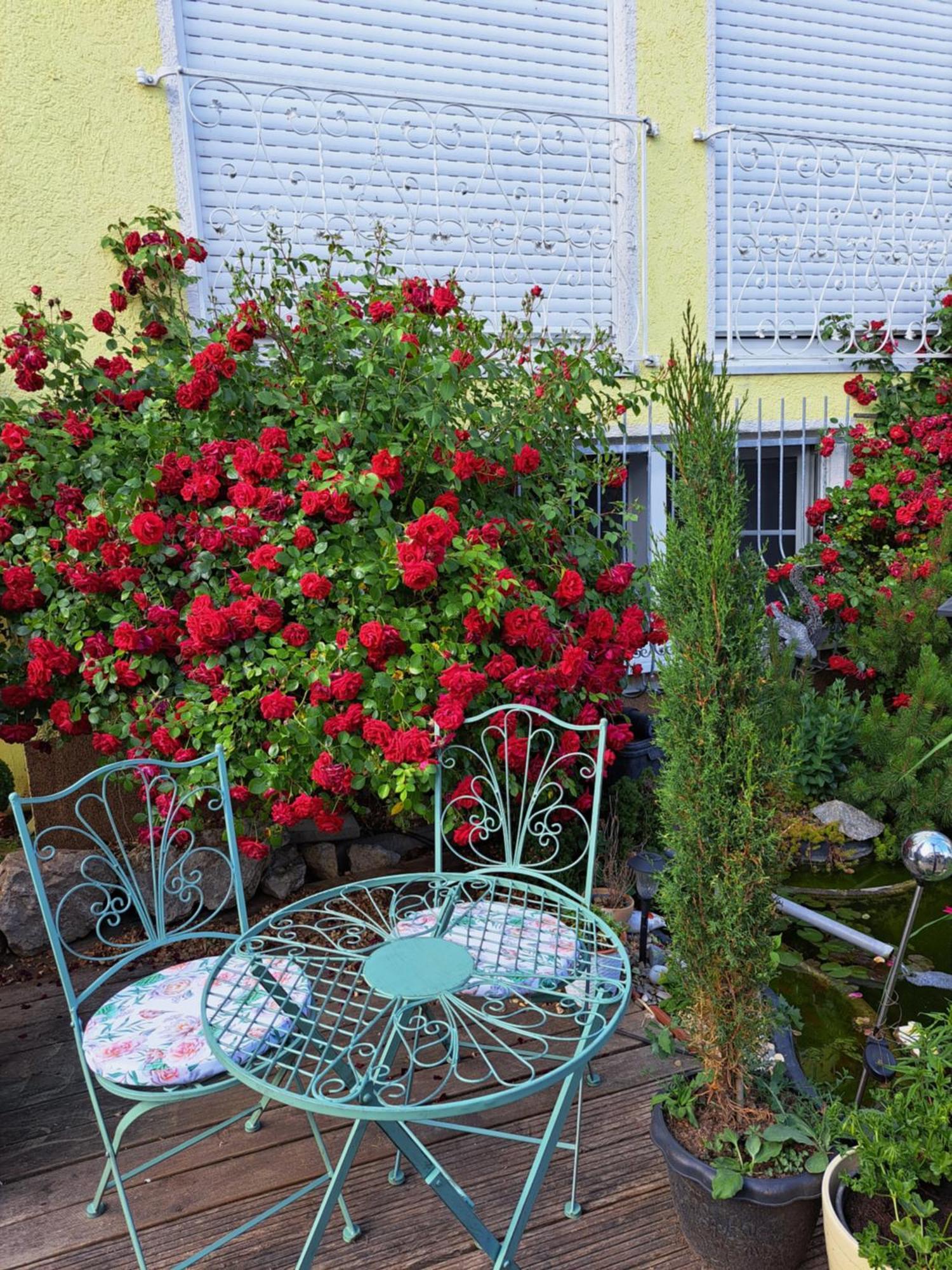 Ferienwohnung Nensi Ehekirchen Exterior foto